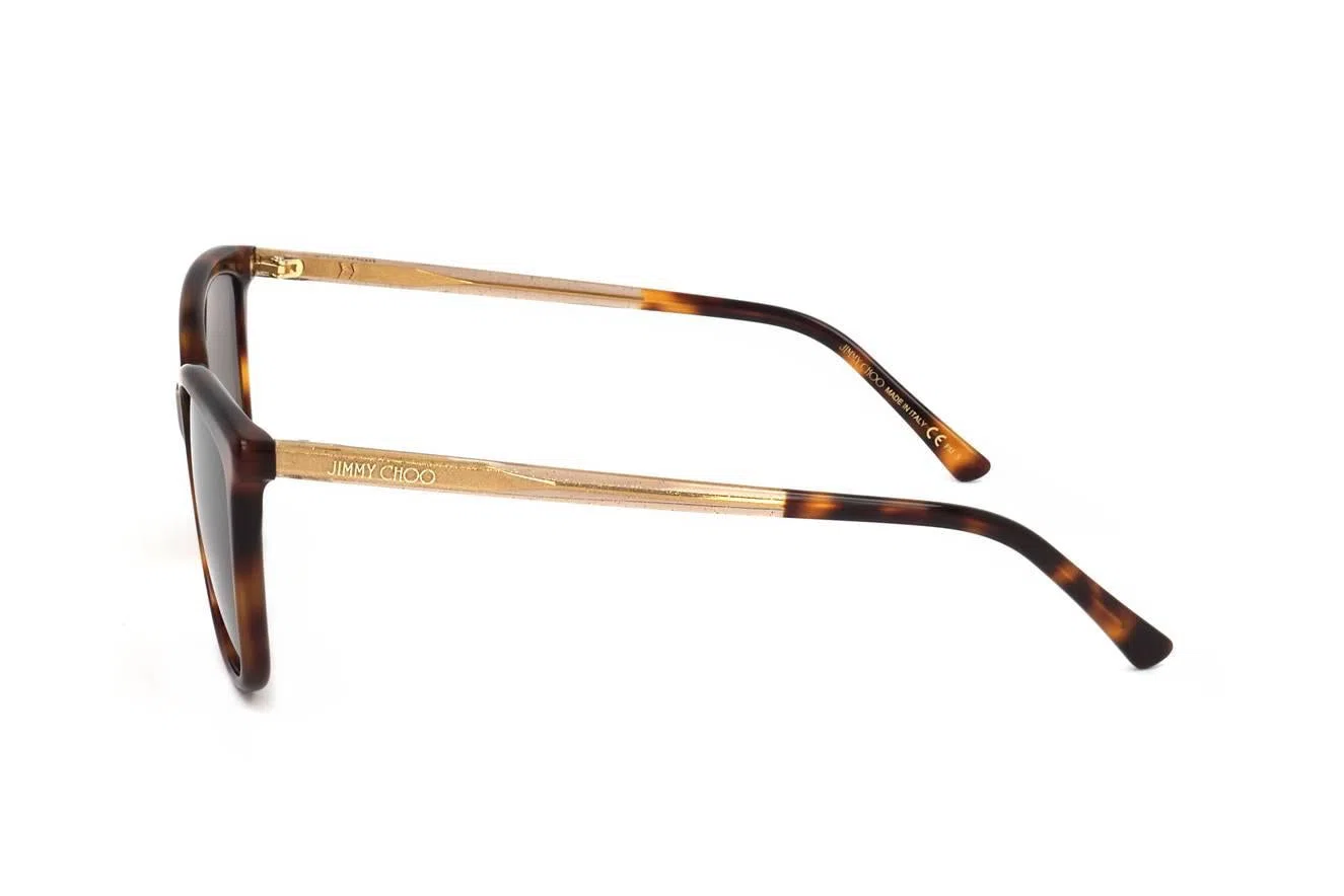 Jimmy Choo BA_G_S Sunglasses - view 20